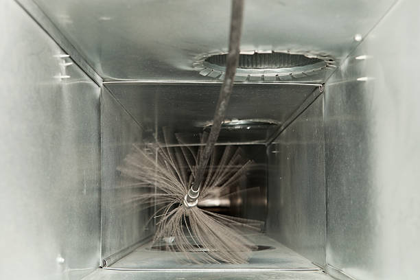 Air Duct Mold Removal in UT